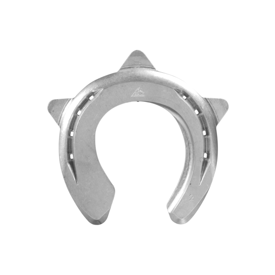 ACR 350 Asymmetric Shoe, Parpris