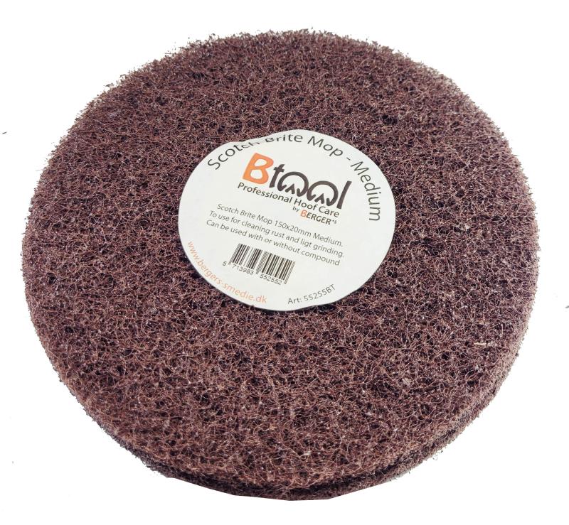 BTool Slip- och polertrissor (Scotch Brite Sliptrissa)
