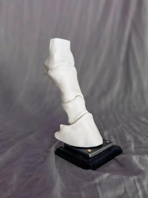 InHorse Company Led Modeller