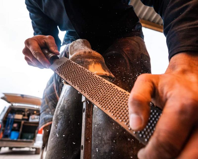 Heller eXceL Legend Rasp