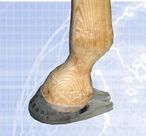 3:rd Millennium Babi Cuff Fölkorrigeringssko