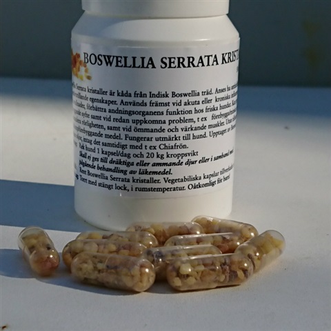 Boswelia Serrata Kristaller 50 kapslar