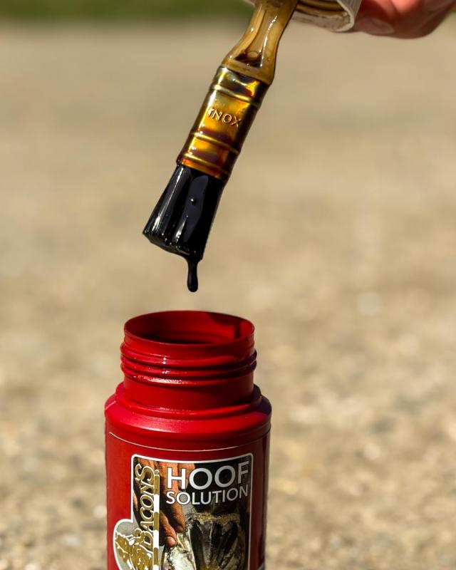 Kevin Bacon Hoof Solution