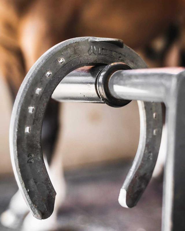 Mustad LiBero 20x8 Tåkappa Fram