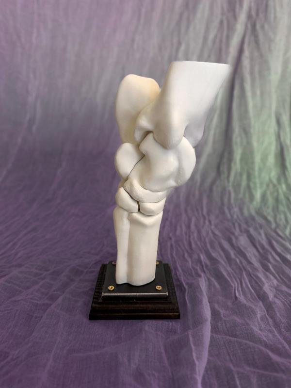 InHorse Company Led Modeller (Tarsus)