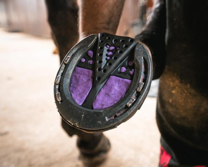 Mustad Hoof Cushion Medium A35