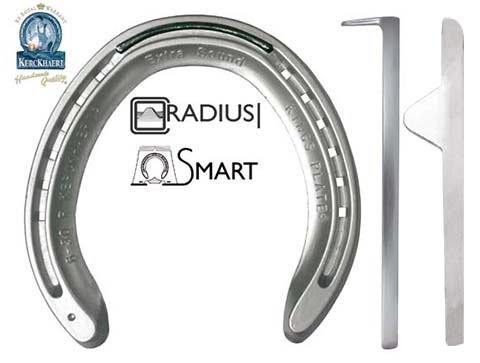 Alu Kings Plate ES Hind