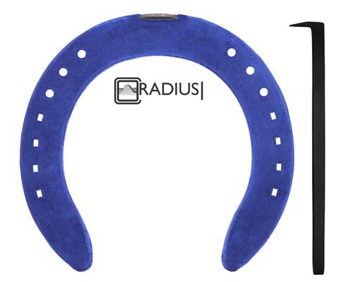 Kings Plate ES Blue Bond