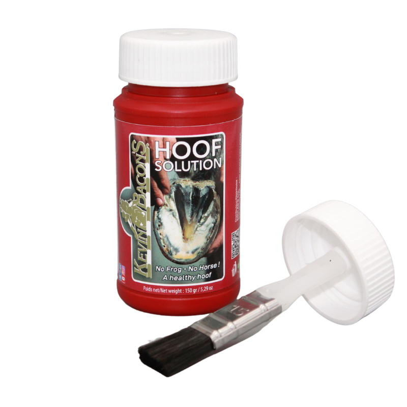 Hoof Solution Kevin Bacon