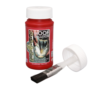Hoof Solution Kevin Bacon