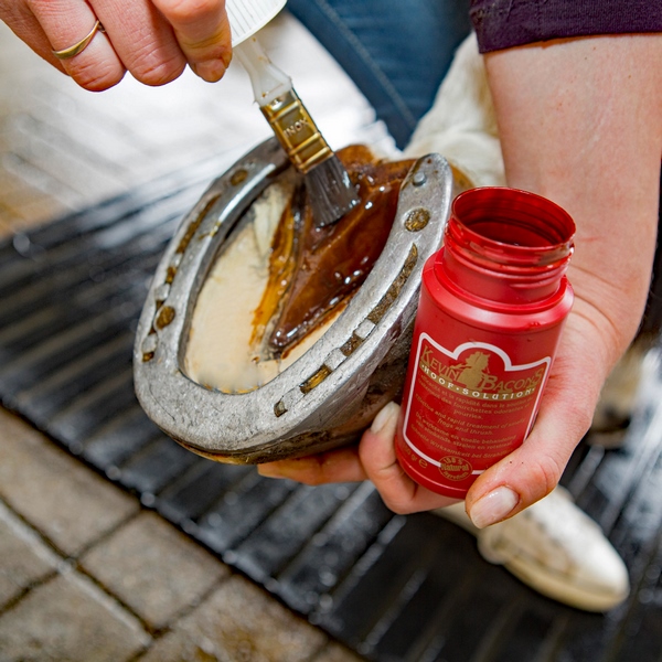 Hoof Solution Kevin Bacon