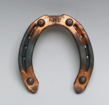 Guldsko KW med brodd ridhäst Bak