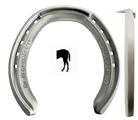 Alu Outer Rim Bak