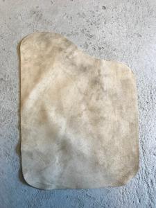 Utbytesskinn Gibbins