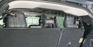 Artfex Lastgaller Mustang Mach E 2021-