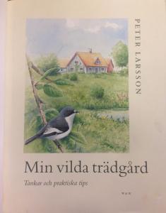 Min vilda trädgård - tankar och praktiska tips