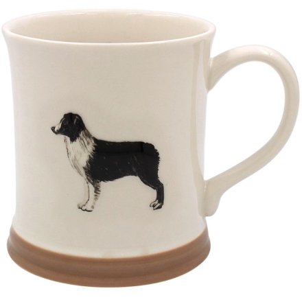 Mugg - Border Collie relief