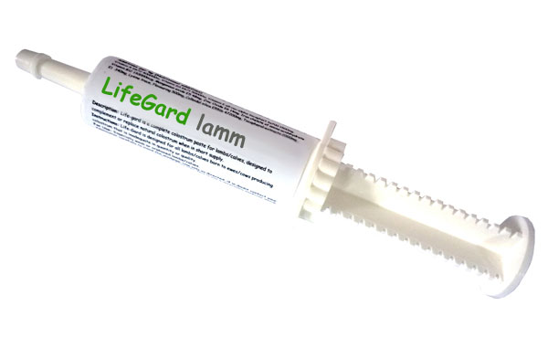 LifeGard Lamm - råmjölkspasta & energi 15 doser