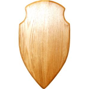 Trofesköld älg ljus