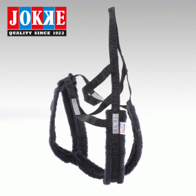 Jokke Huskysele, Safari, str 3