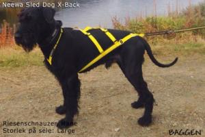 Neewa Sled Dog X-back Medium