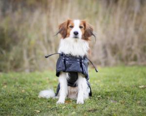 Standardtäcke str. 43-59