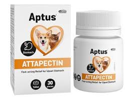 Aptus Attapectin tabl. 30st