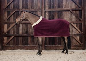 KENTUCKY HEAVY FLEECE BORDEAUX
