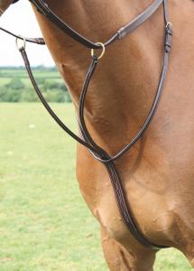 SHIRES SALISBURY MARTINGAL BRUN