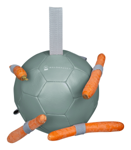 CARROT BALL