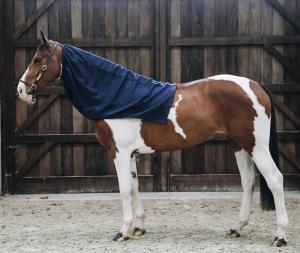 KENTUCKY COOLER FLEECE SCARF