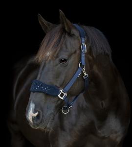 HG Anabel Grimma Navy