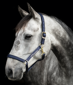 PROTECTOR DERRY GRIMMA MARIN