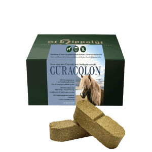 St Hippolyt Curacolon