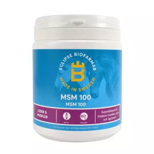 MSM 100  500 G