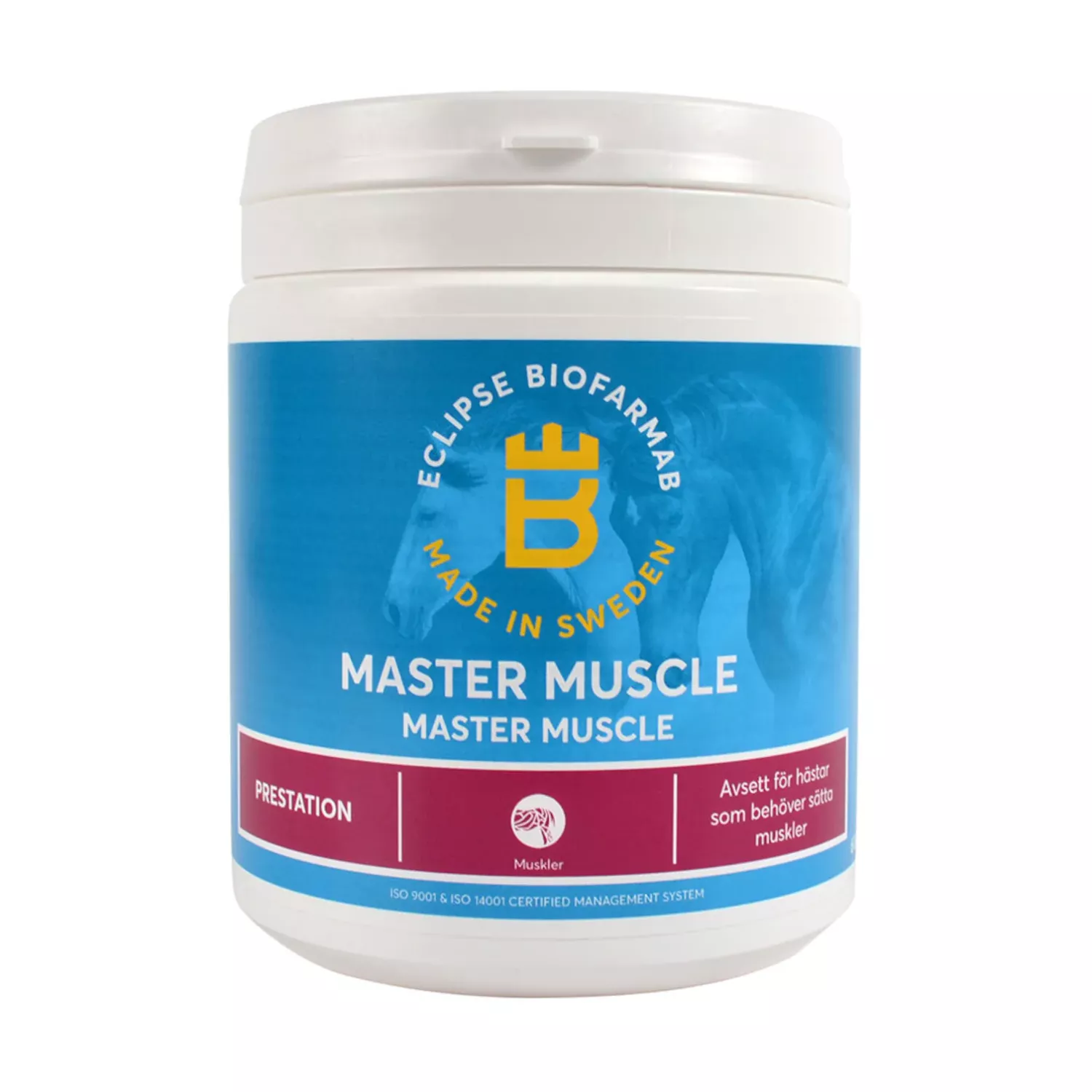 MASTER MUSCLE 600 G