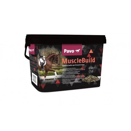 PAVO MUSCLE BUILD 3 KG