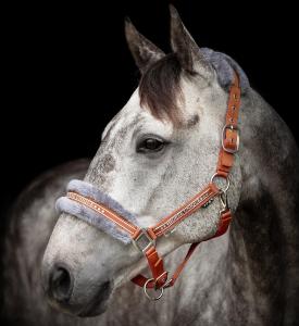 Horse Unique Pälsgrimma