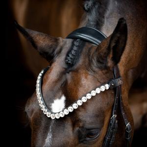 SD VALENTINO BROWBAND
