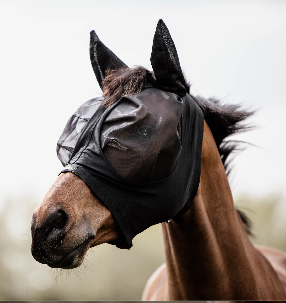 KENTUCKY SLIM FIT FLY MASK