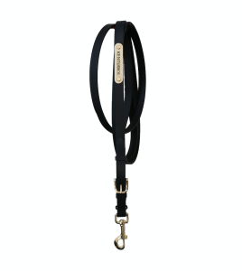 KENTUCKY PRESENTATION LEAD SVART