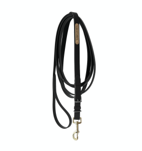 KENTUCKY STALLION LEAD SVART