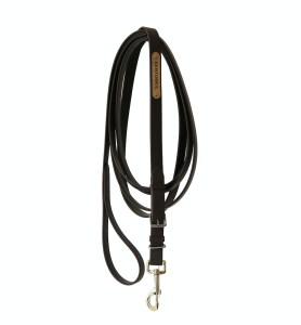 KENTUCKY STALLION LEAD BRUN