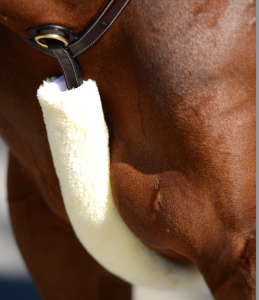 KENTUCKY BREASTPLATE COVER NATURAL