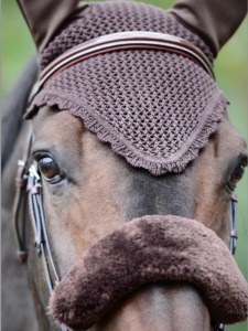 KENTUCKY NOSLUDD BRUN