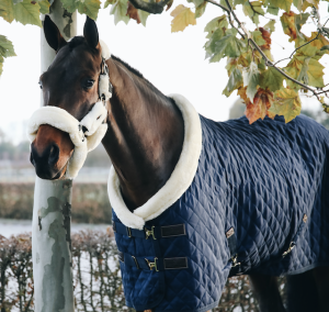SHOW RUG NAVY