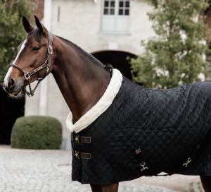 SHOW RUG BLACK