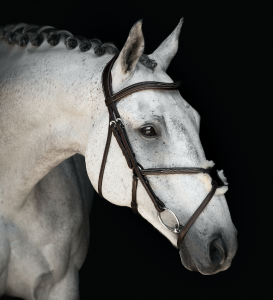 LIPPO SUPREME WILSON