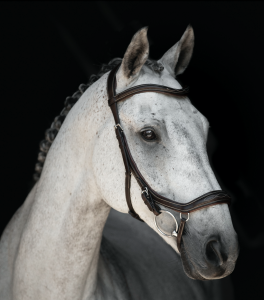 LIPPO SUPREME MILTON