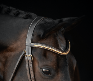 LIPPO PRESTON PANNBAND